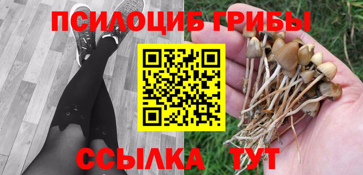 купить закладку  Вход с VPN  Коряжма  Псилоцибиновые грибы ЛСД  Псилоцибиновые грибы Psilocybe 